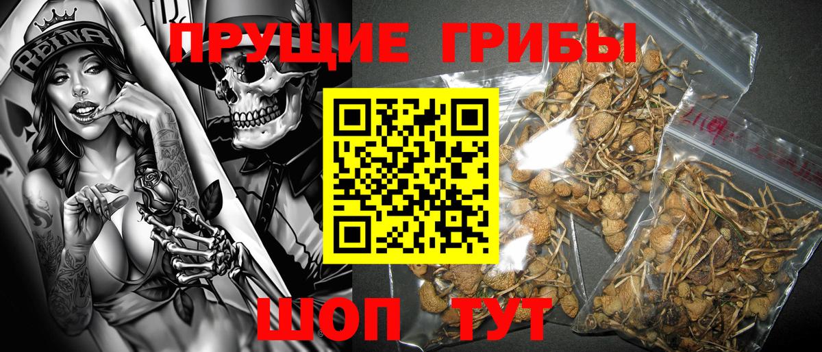 Галлюциногенные грибы ЛСД Лыткарино