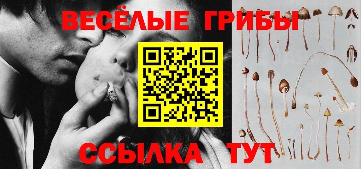 Псилоцибиновые грибы GOLDEN TEACHER  Псилоцибиновые грибы мухоморы  Вход с VPN  Лыткарино 